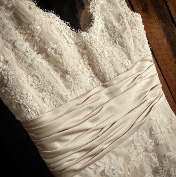 Champagne Lace Bridal Gown - Picture 4 of 4